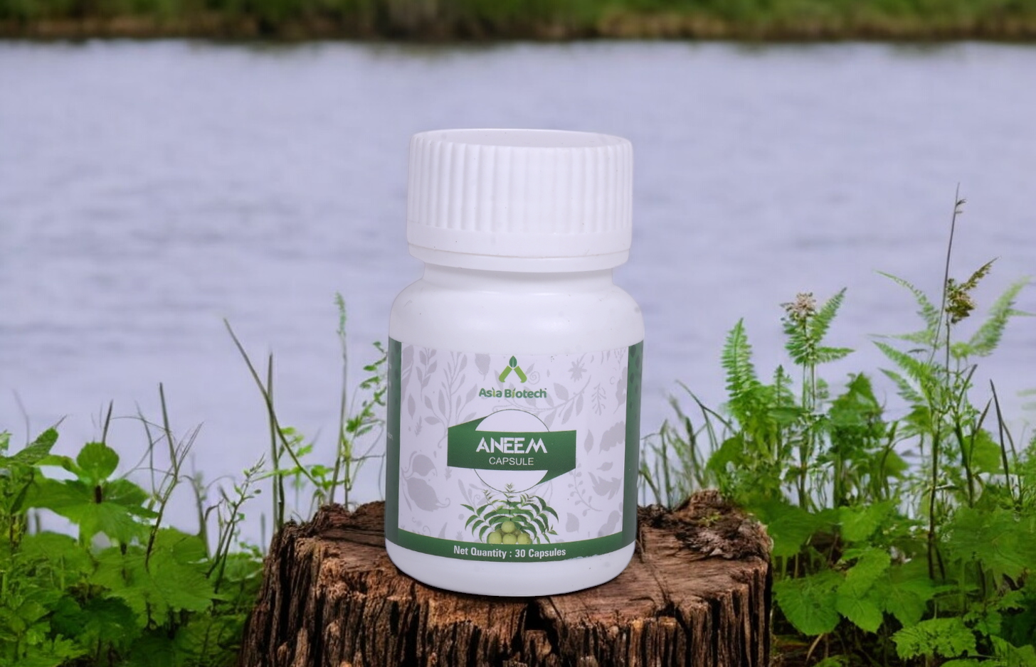 Aneem Capsule | 100% Ayurvedic Formulation Purifies Blood, Treats Urinary Disorders | Pacifies Pitta And Kapha Doshas | Promotes Healthy Skin| Natural Vitamin C | Pack of ( 2 x 30 Capsule|