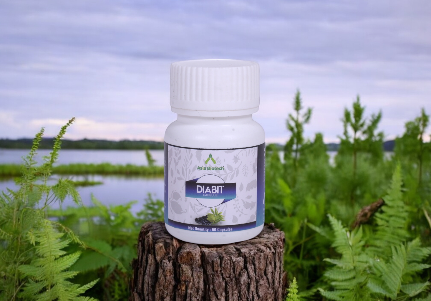 Diabit Capsule |Ayurvedic Herbal | Diabetic Care Capsule | Manage Blood Sugar Level | Helps Increase Insulin | Helps Increase Energy Level | Goodness Of Karela, Jamun , Gudmar & Methi (1x60 Capsules)