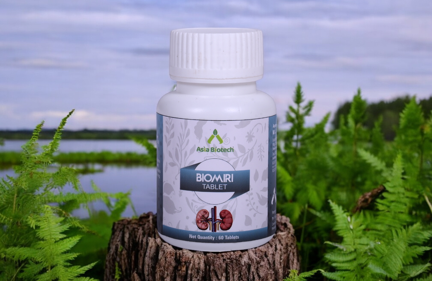 Biomiri tablets | Plant-based kidney supplement | Natural Product for men and women |Prevents kidney stones | Dissolves early stage stones - 60 Tablet