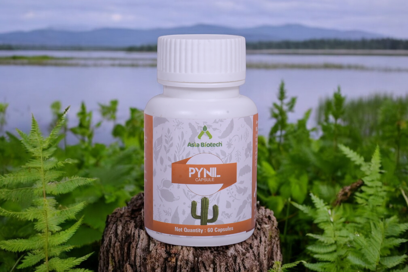 Pynil Capsule | Comprehensive Solution for Hemorrhoids and Fissures, GMP Approved, 60 Capsules (Pack of 1)